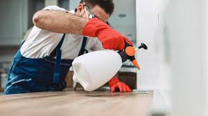 Best Real Estate Pest Inspections  in Coats, NC